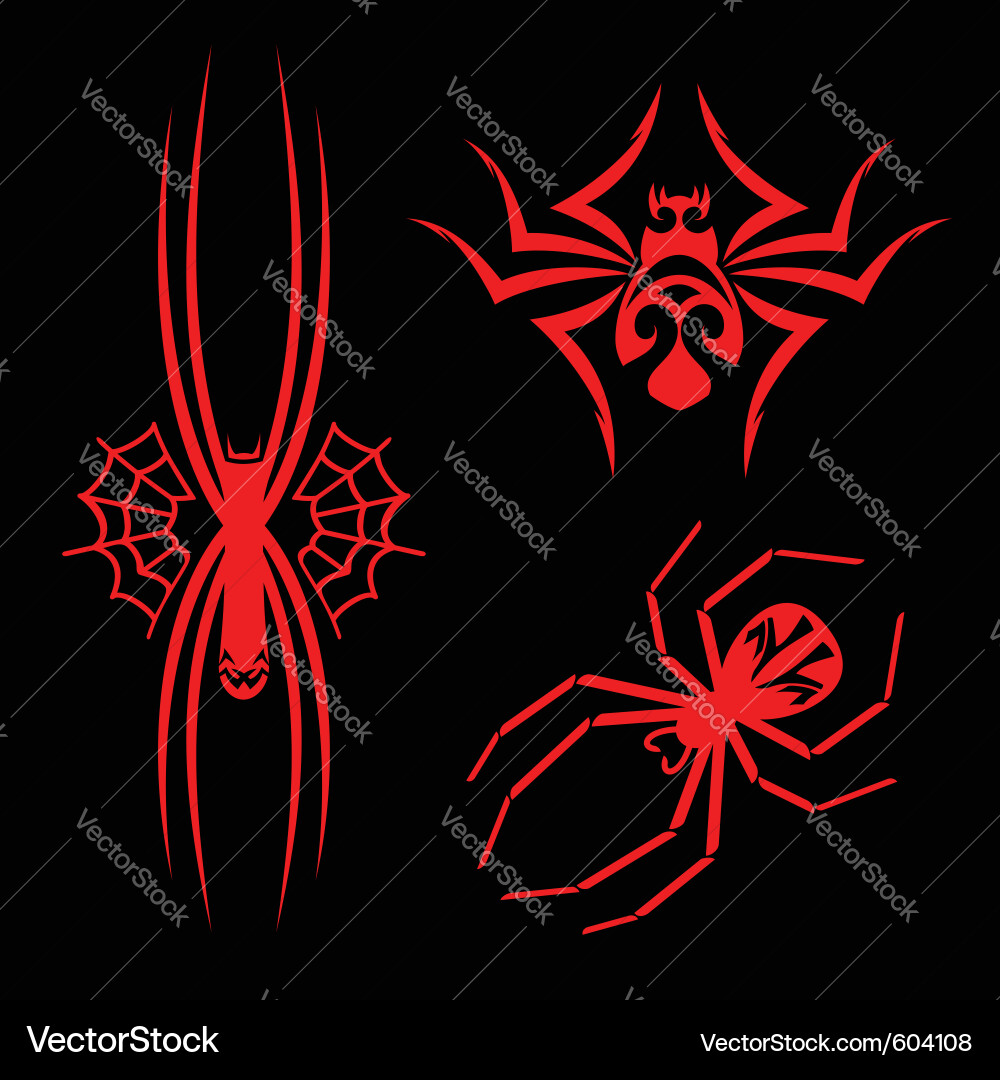 Tribal Spider Web Tattoo vector image