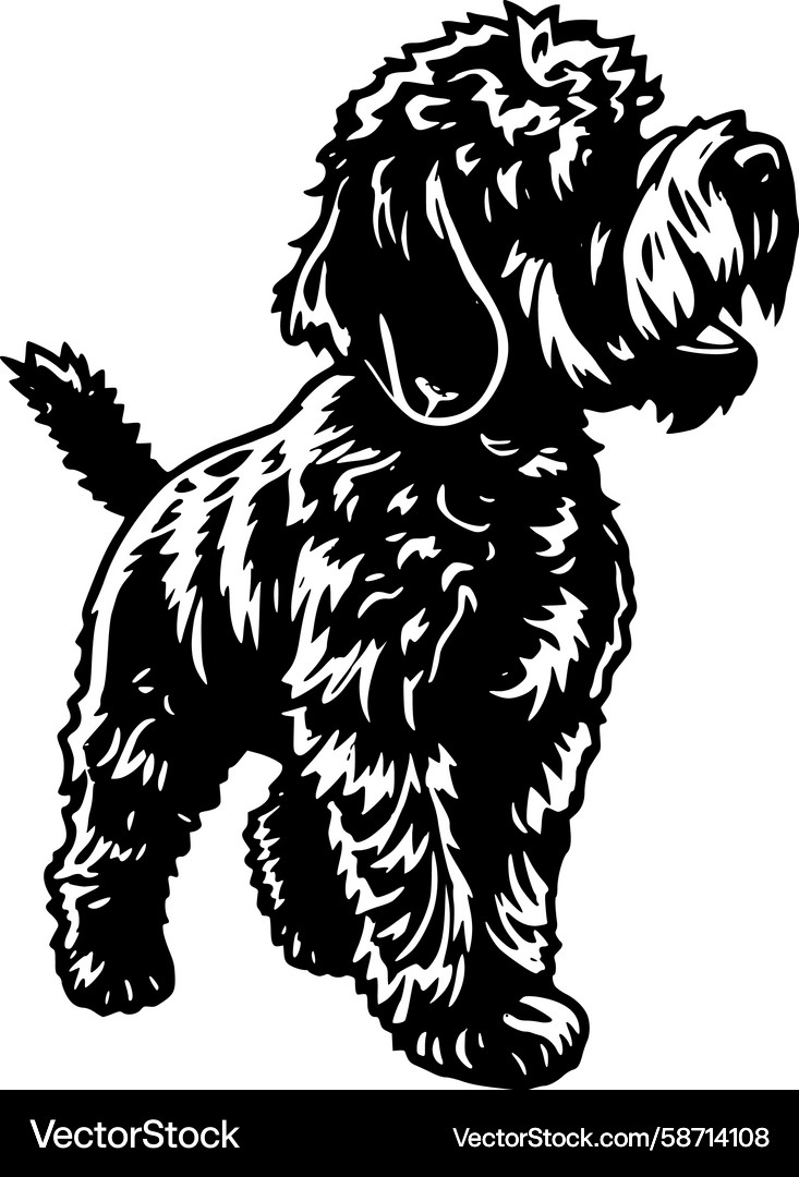 Wirehaired Pointer Silhouette Vector Image