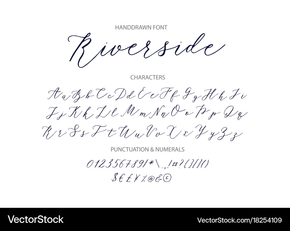 Riverside Script Font - Handwritten Calligraphy vector image