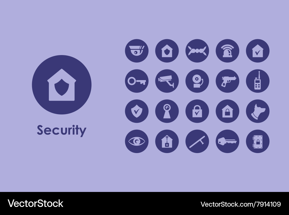 Set of security simple icons Vector Image