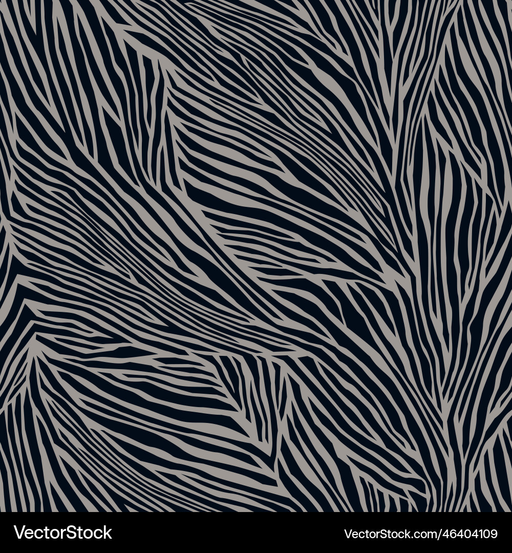 Zebra Texture Pattern vector image