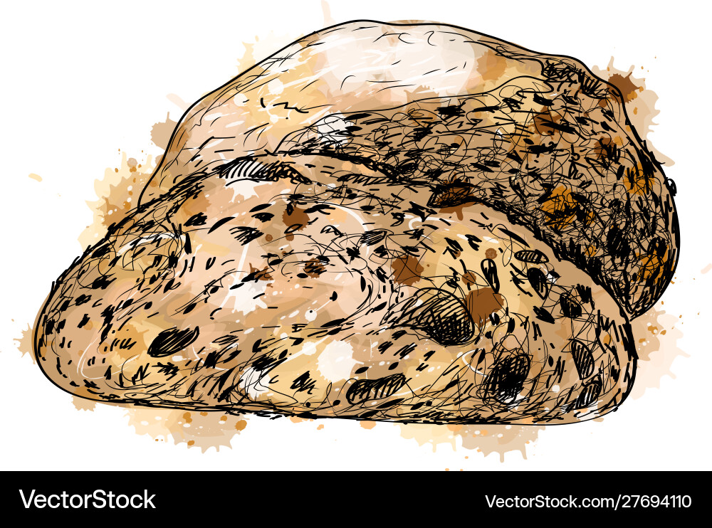 Bread from a splash watercolor hand drawn Bread from a splash watercolor hand drawn Vector Image