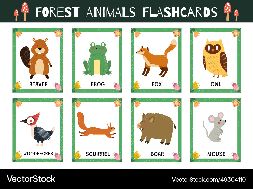 Forest animals flashcards collection for kids Forest animals flashcards collection for kids vector image