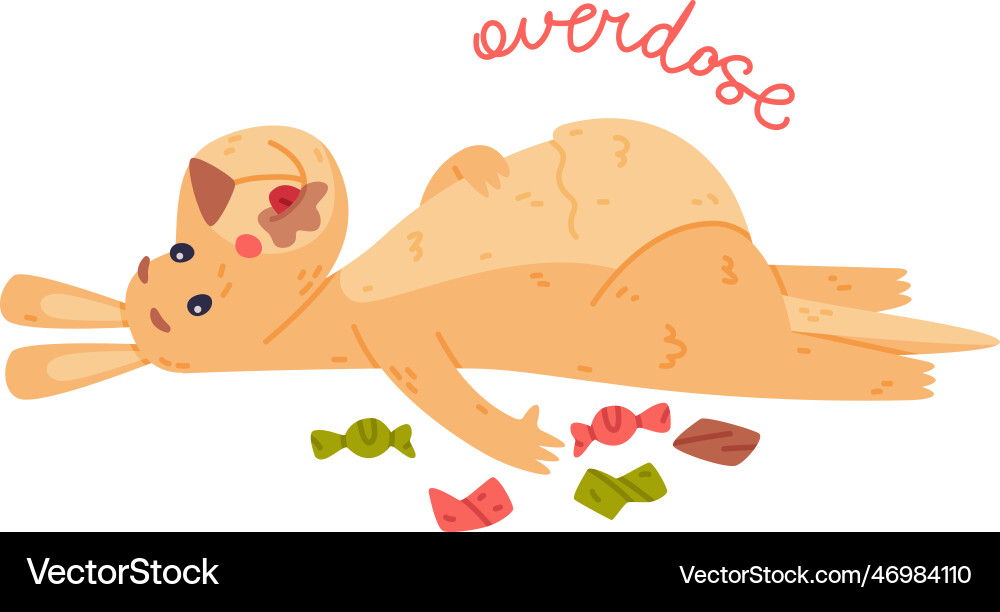 Funny kangaroo marsupial animal lying overdose Funny kangaroo marsupial animal lying overdose vector image