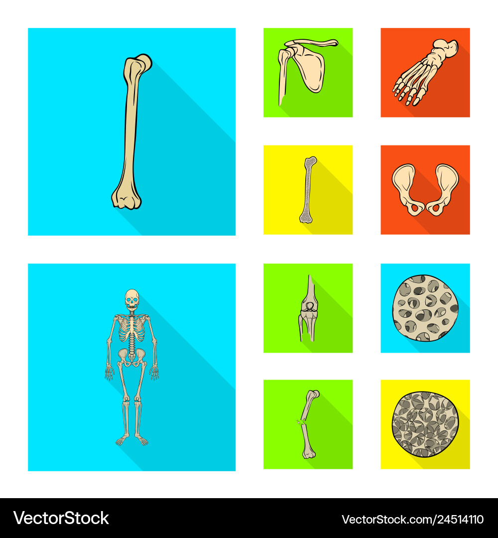 Isolated object of bone and skeleton logo set Isolated object of bone and skeleton logo set Vector Image