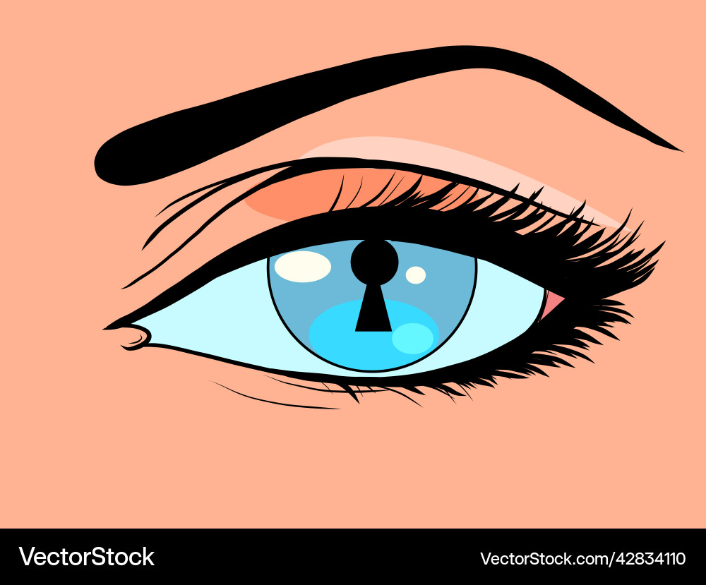 Keyhole key mystery closed door instead of a pupil Keyhole key mystery closed door instead of a pupil vector image