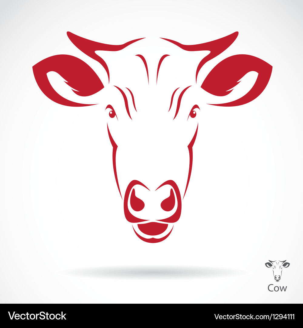 Cow Head Portrait Vector Image