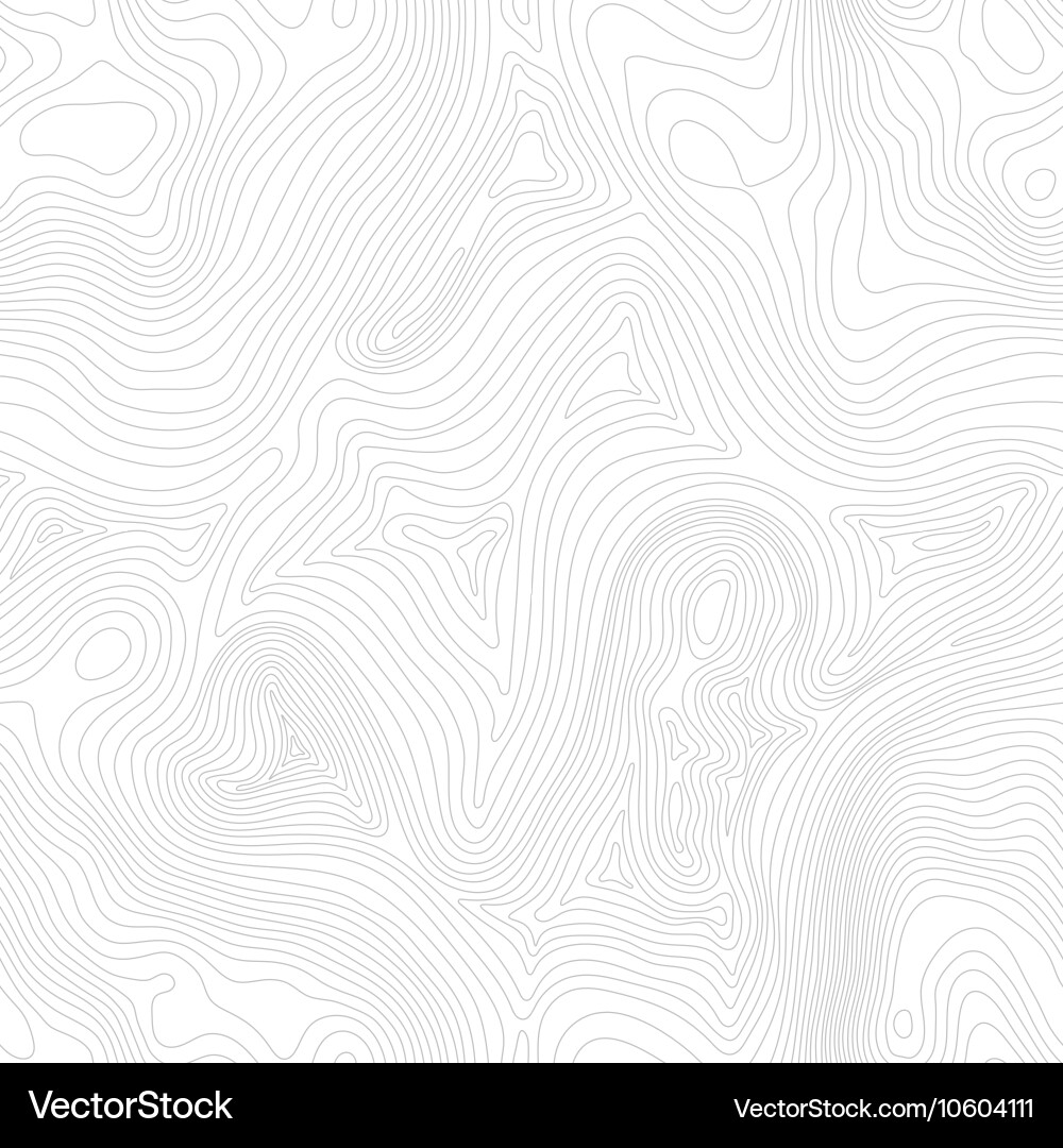 Topographic map background concept with space vector image
