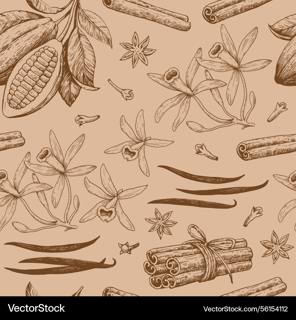 Seamless pattern with cocoa beans cinnamon vector image