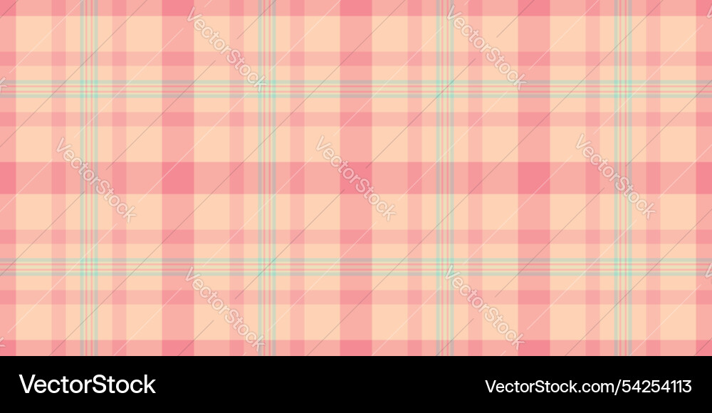 Glamour check textile list pattern background Vector Image