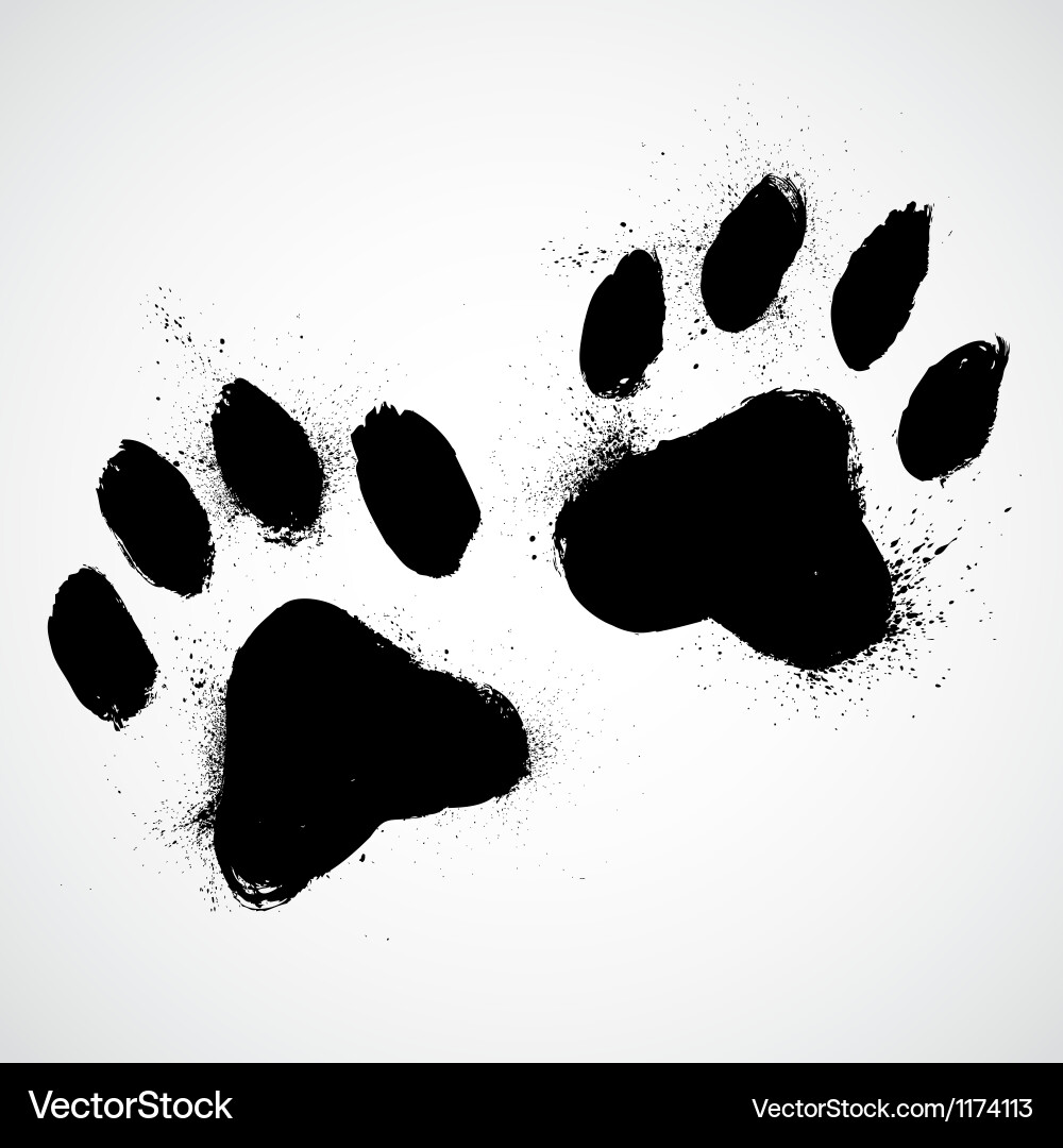 Grunge Dog Paw Prints Vector Image