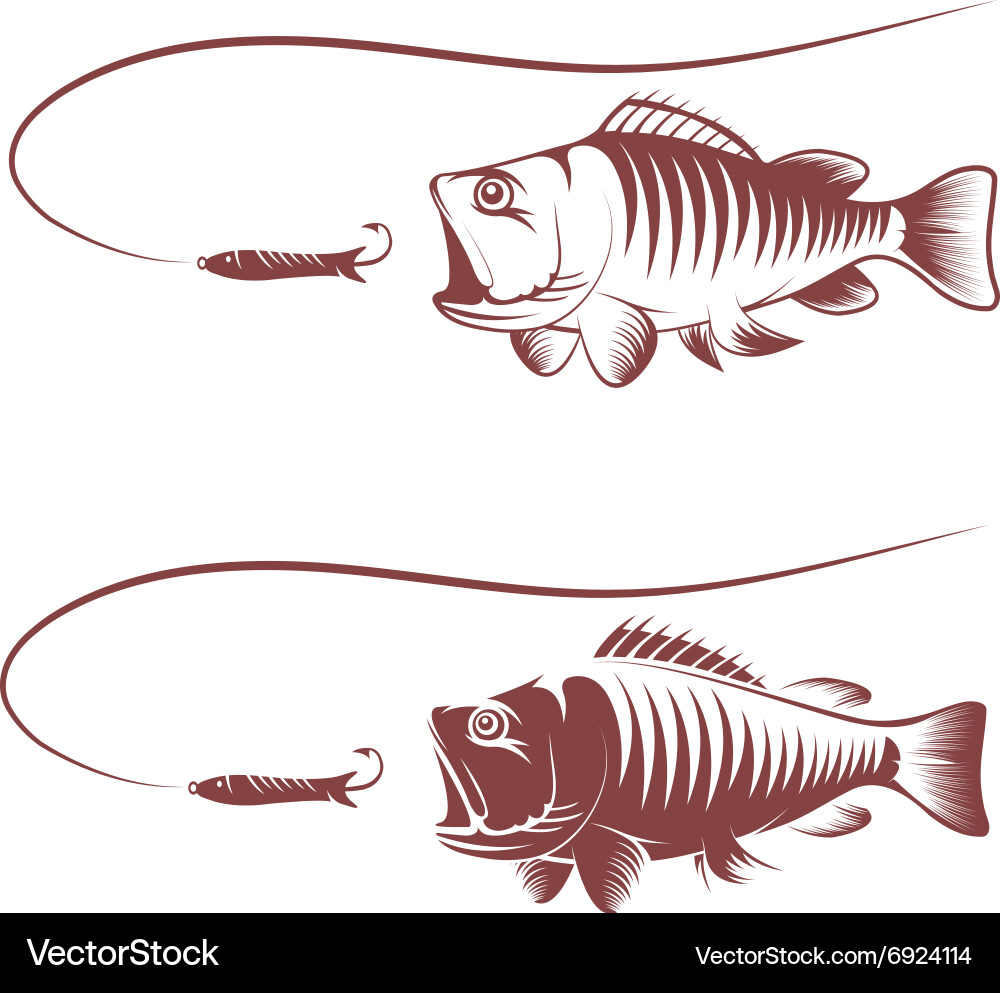 Sea Bass and Lure Icon Set Vector Image