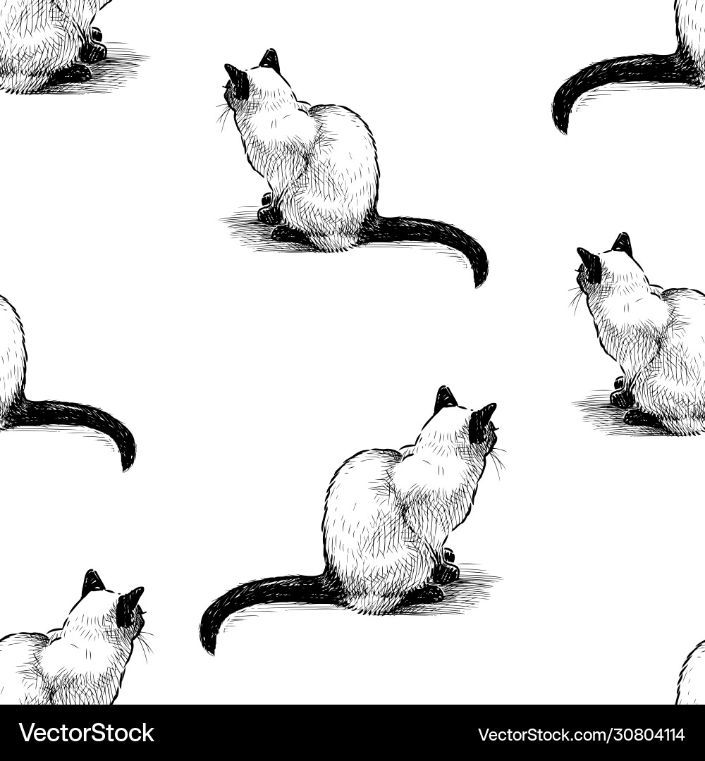 Siamese Cat Pattern - Sketch vector image