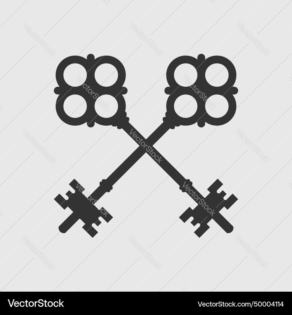 Two keys icon Two keys icon vector image