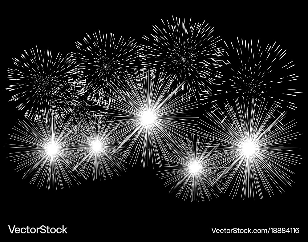 Fireworks Display Vector Image