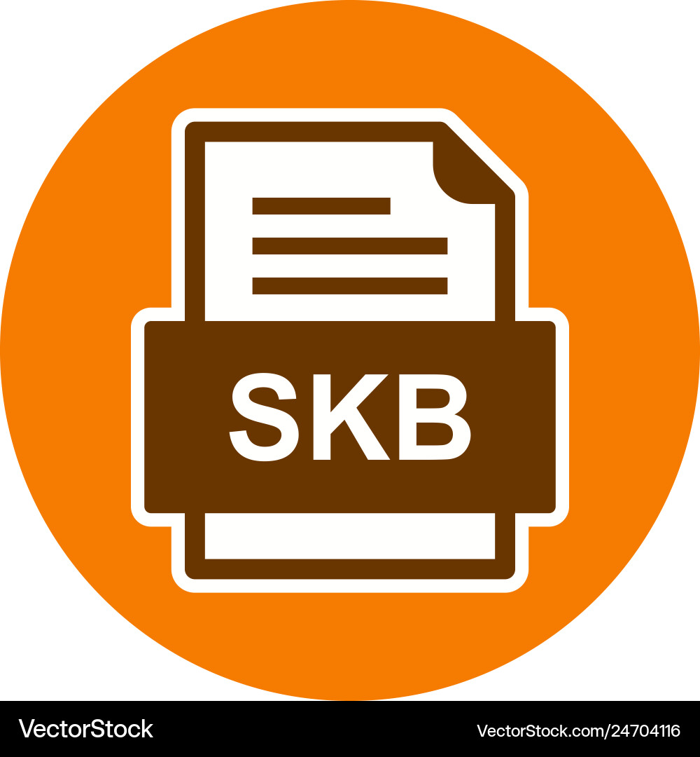 Skb file document icon vector image