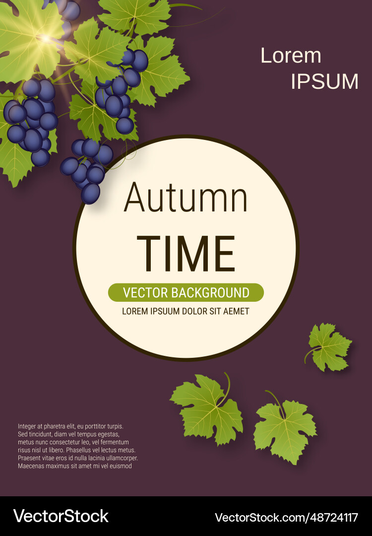 Grape branch Grape branch vector image