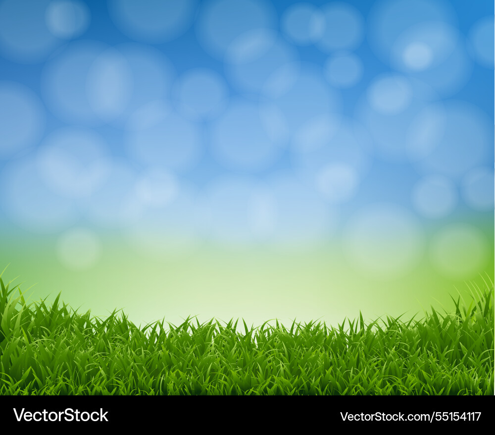 Spring nature background with bokeh vector image