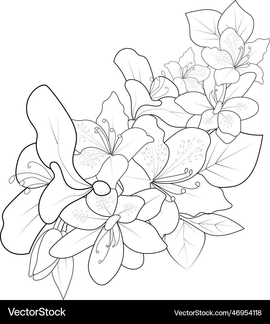 Entangle with azalea flower tattoo drawings Entangle with azalea flower tattoo drawings vector image