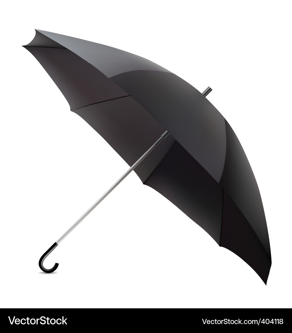 Stylish Black Umbrella Vector Image