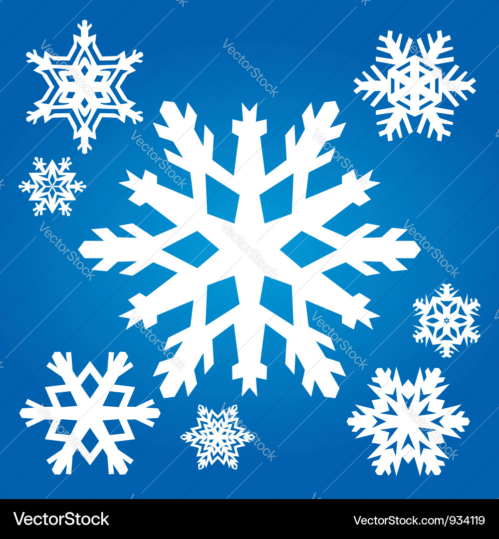 Snowflake Pattern Set vector image