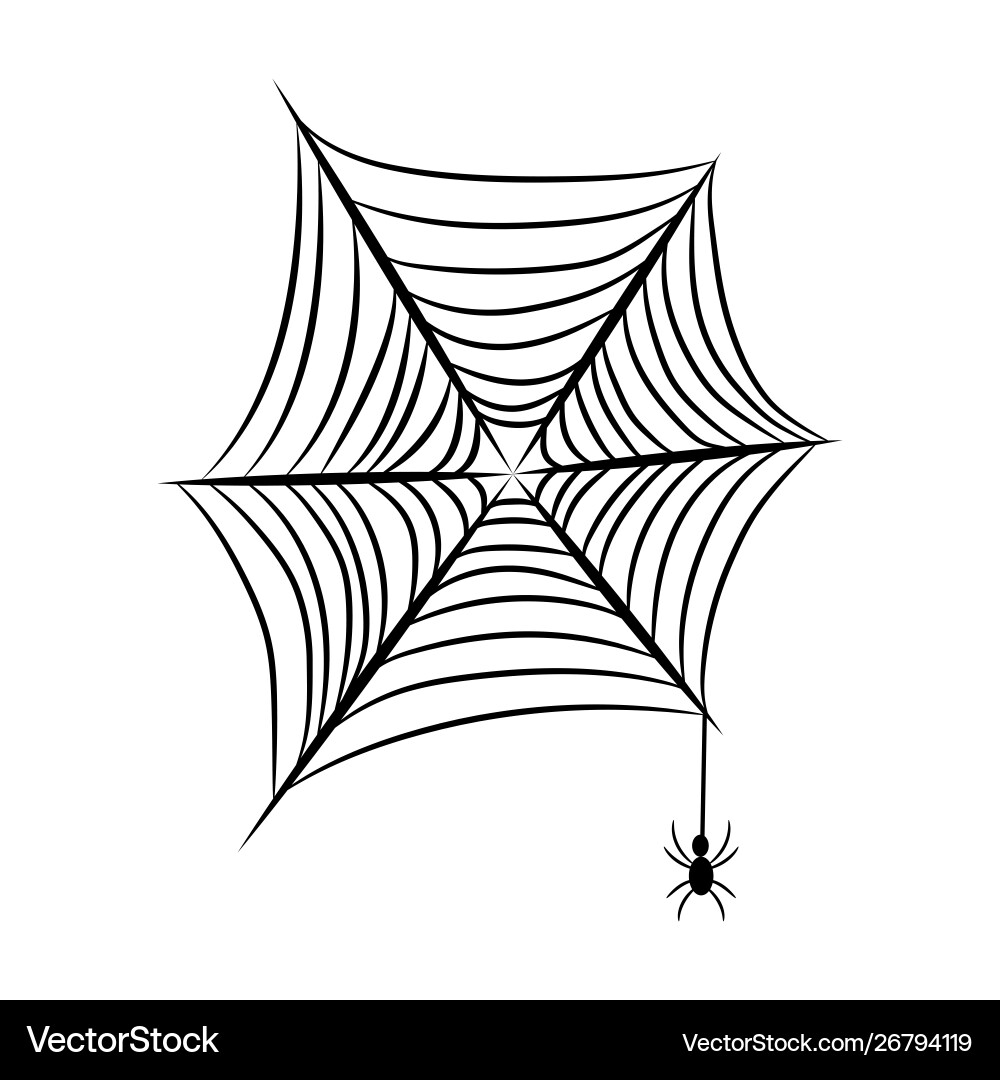Spider net with insect on a white Vector Image