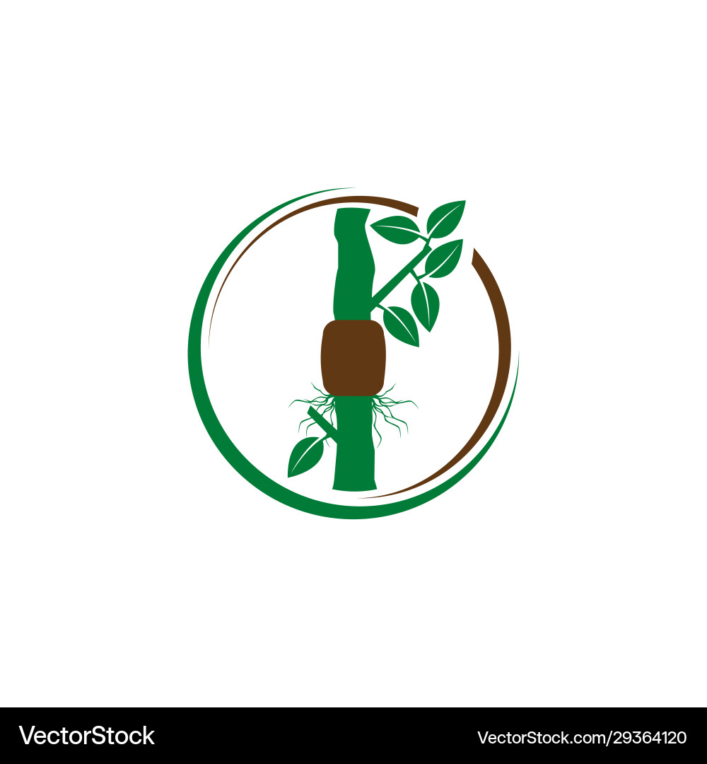 Grafing Pflanzen Transplant Logo-Ikone Grafing Pflanzen Transplant Logo-Ikone vektorbild