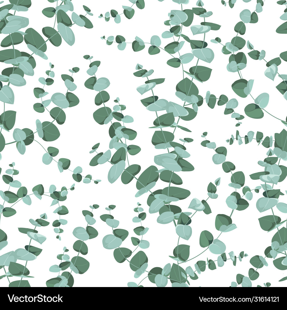 Eucalyptus seamless pattern in rustic style vector image