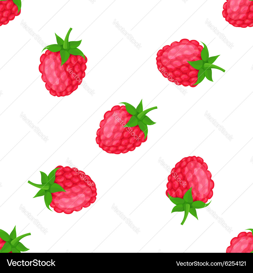 Raspberry Seamless Pattern vector image