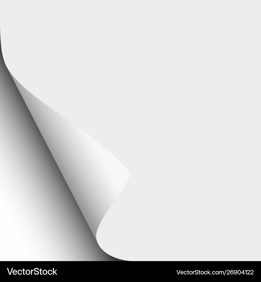 White sheet paper with lower left curl Vector Image