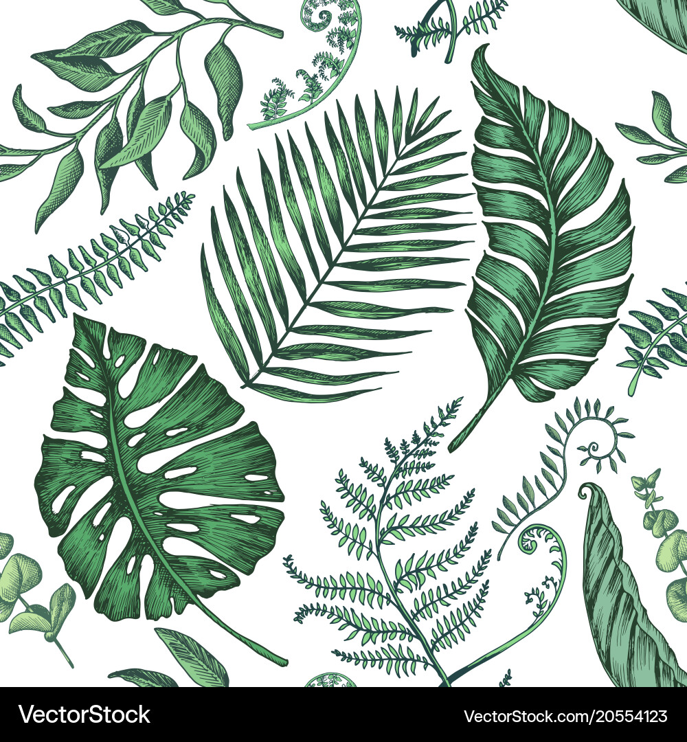 Seamless pattern with palm leaves Royalty Free Vector Image