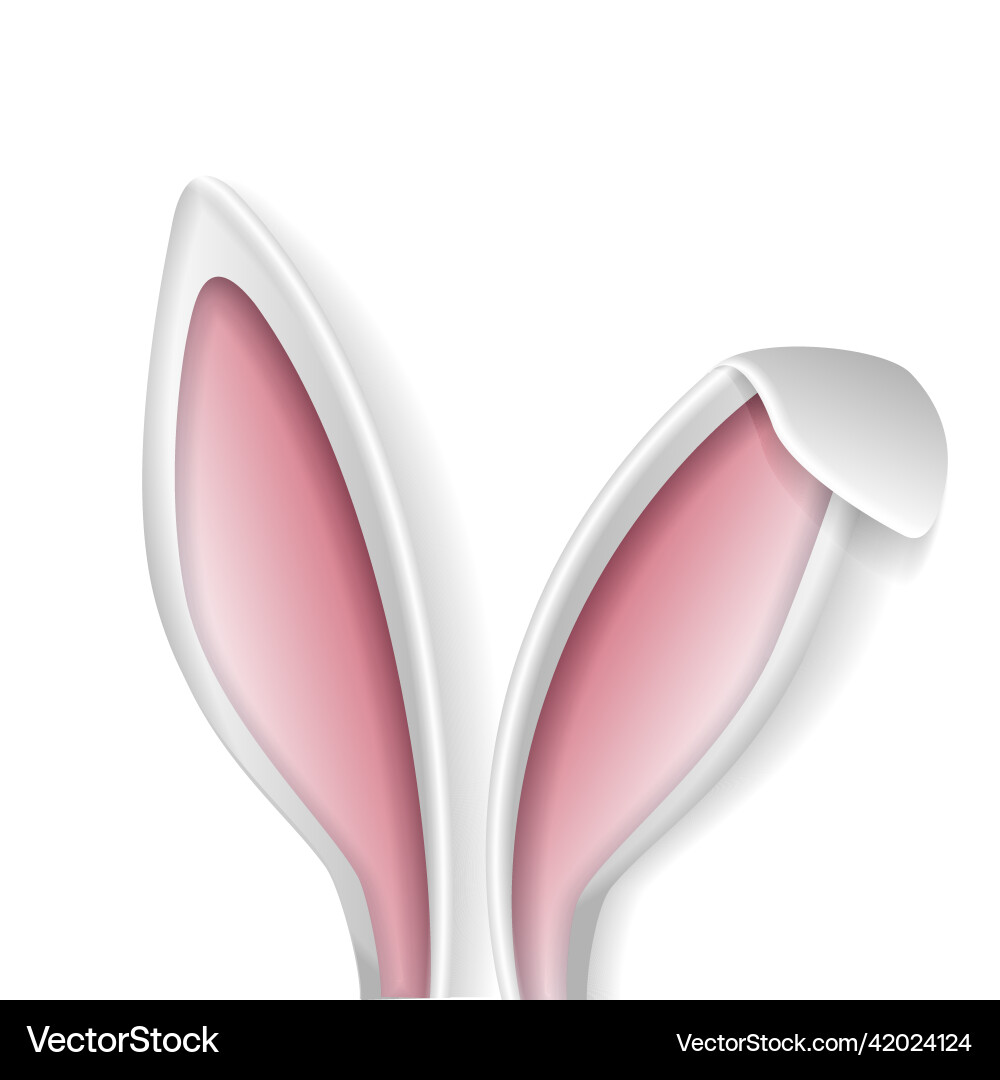 Rabbit ears voluminous white of the easter Vector Image