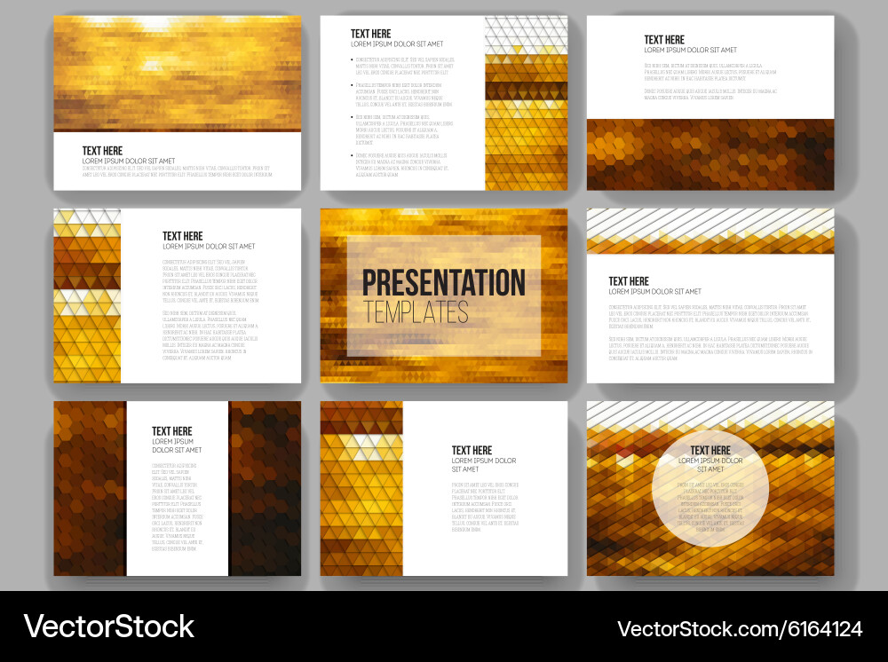 Set of 9 templates for presentation slides vector image