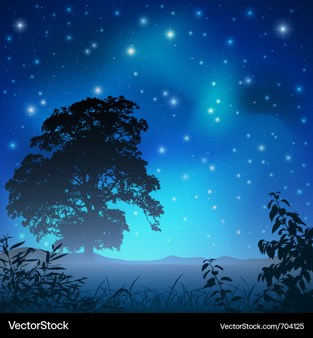 Dark Night Sky with Silhouetted Tree vector image