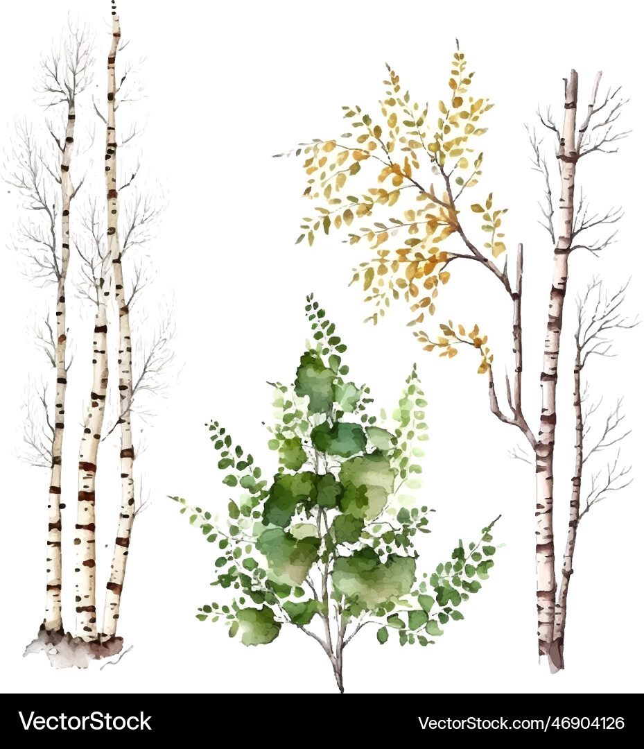 Watercolor birch trees russia tree design element Watercolor birch trees russia tree design element vector image