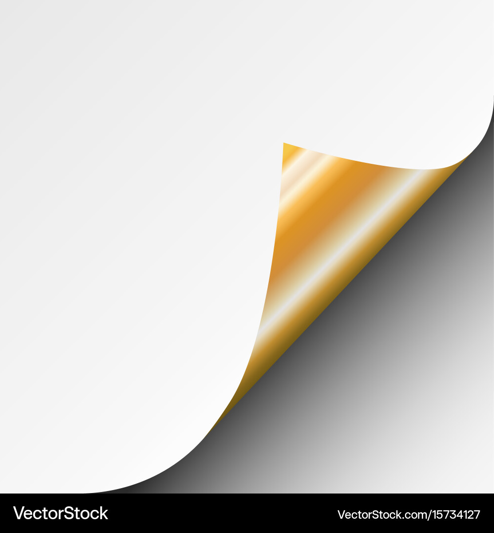 Page curl with shadow of a blank white sheet vector image
