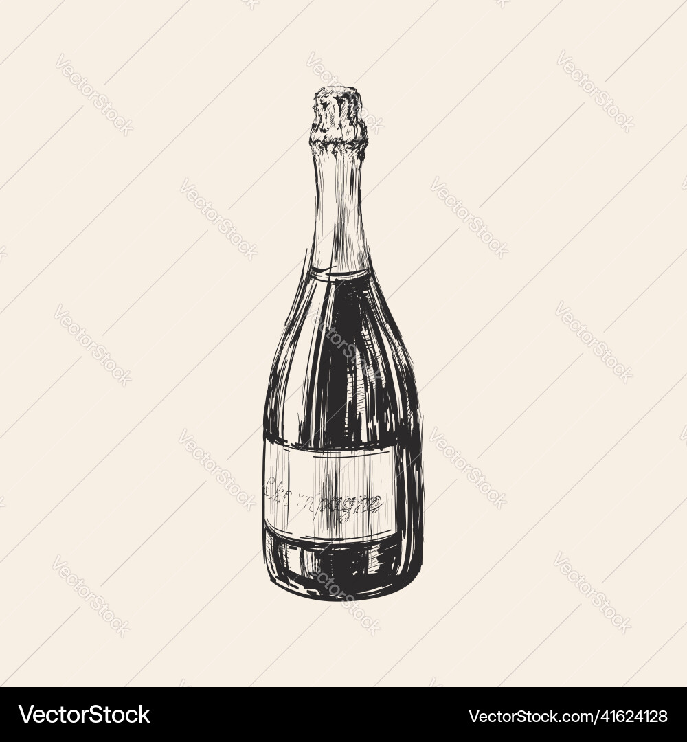 Champagne bottle hand drawn sketch Champagne bottle hand drawn sketch vector image
