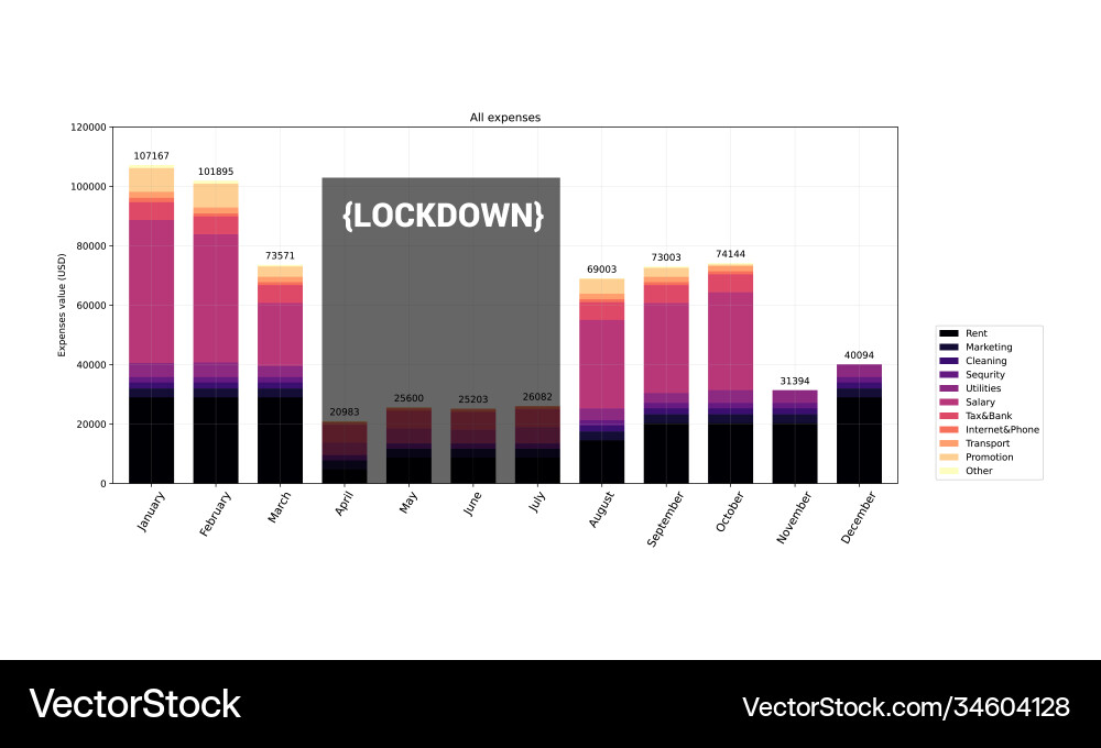 Chart graph diagram bar histograms Vector Image