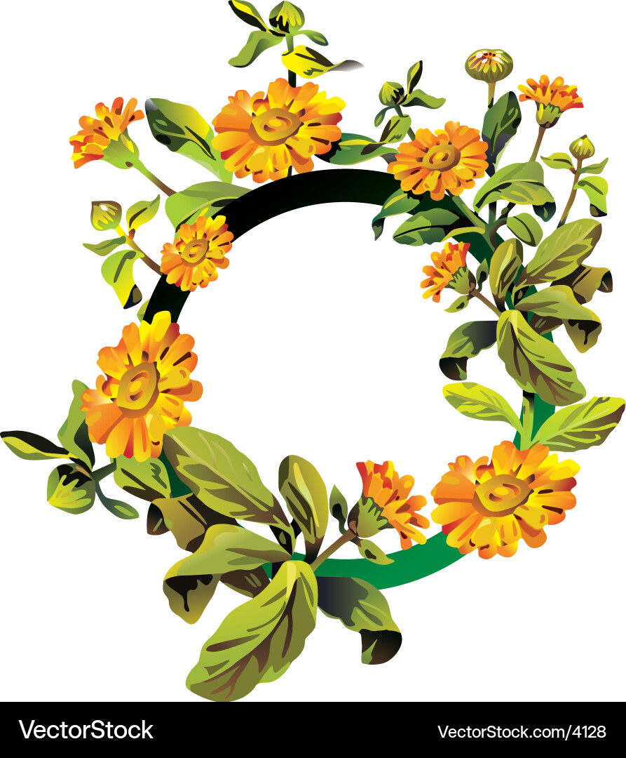 Frame vector image