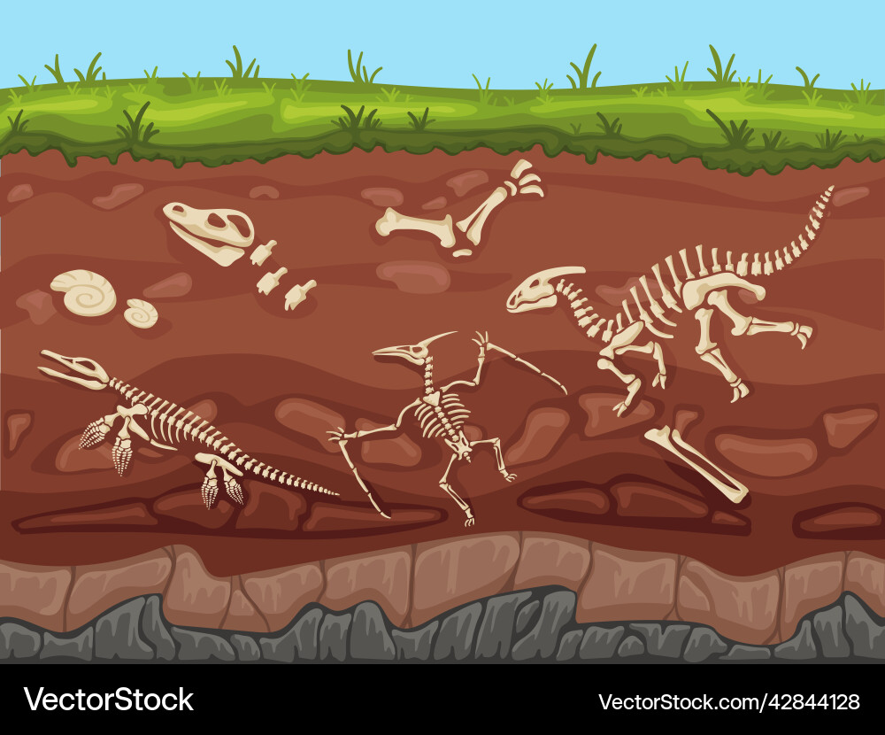 Soil layers with fossils ground Soil layers with fossils ground vector image