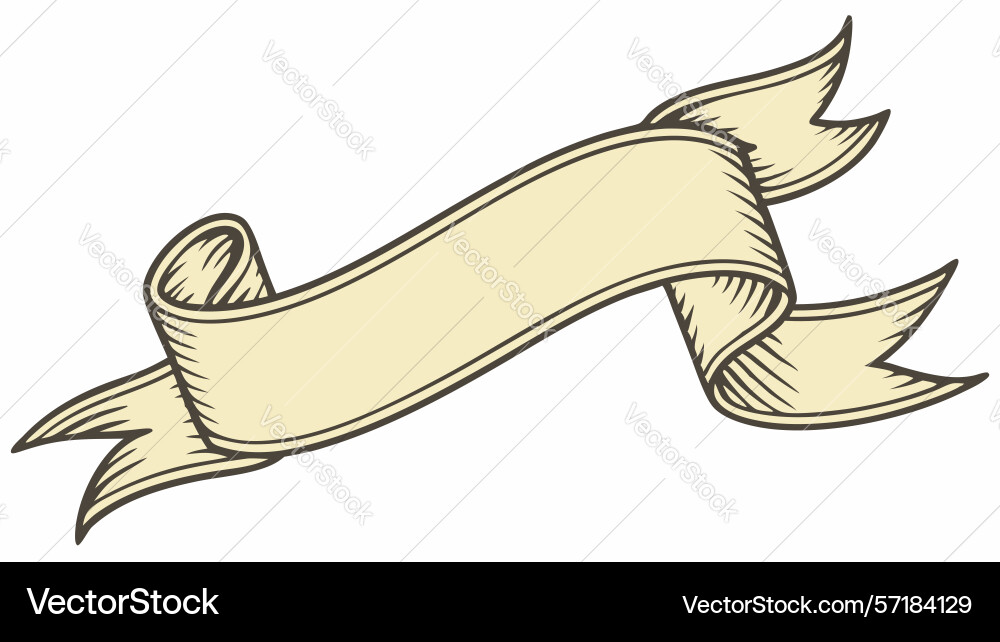 Decorative ribbon scroll element design vector image