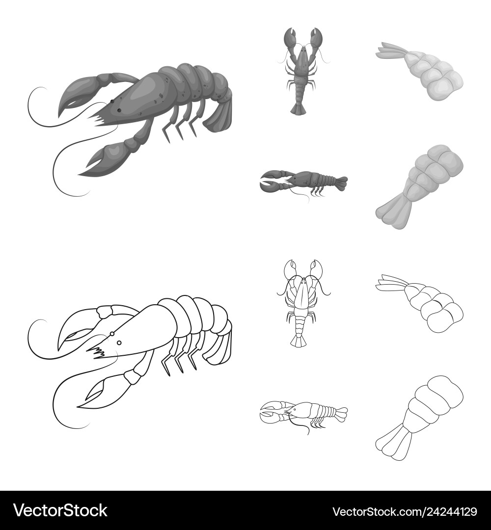 Isolated object of appetizer and ocean symbol set vector image