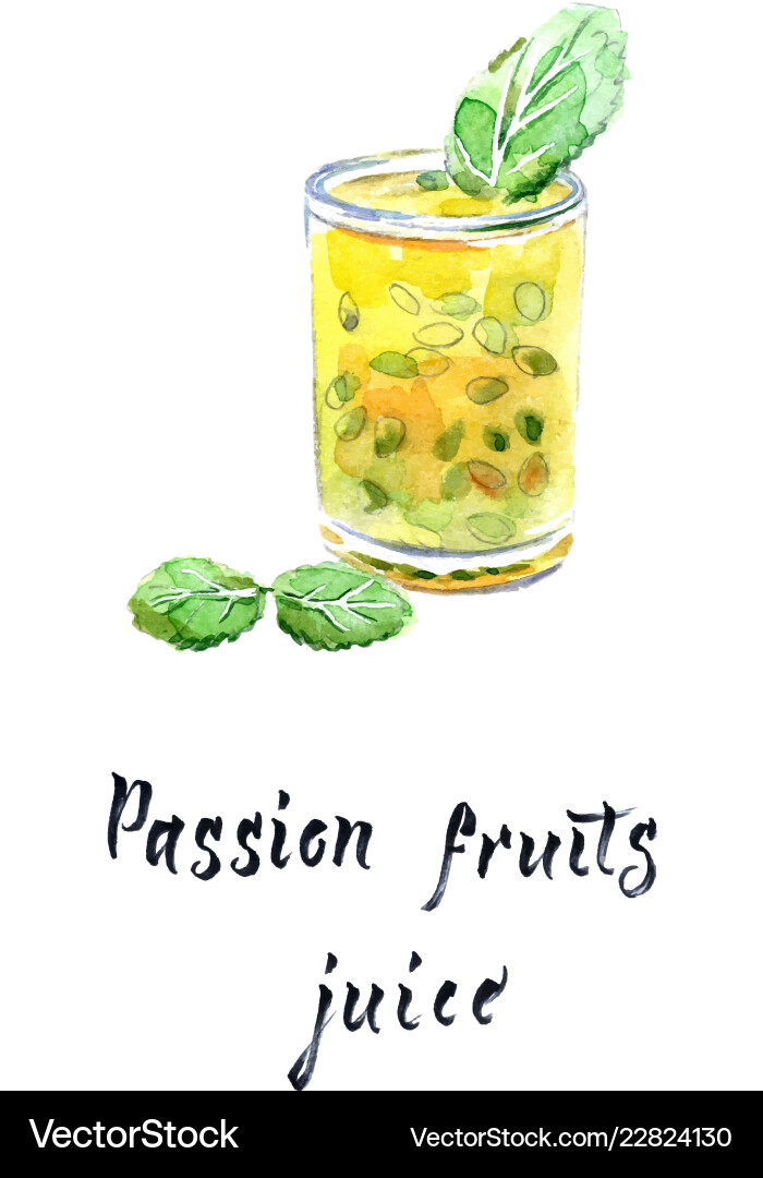 Passion fruit juice in glass with mint leaves Passion fruit juice in glass with mint leaves vector image