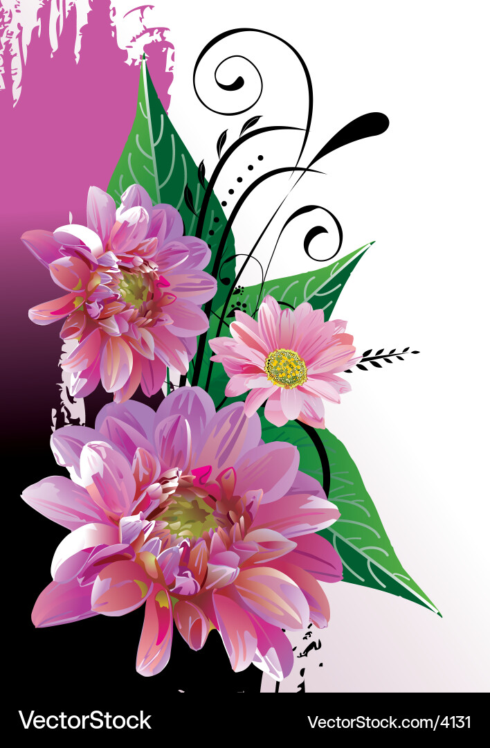 Floral Botanical Arrangement Vector Image