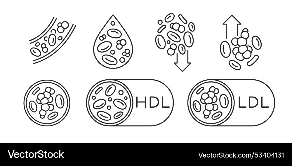 Hdl good and ldl bad cholesterol icons set Hdl good and ldl bad cholesterol icons set vector image