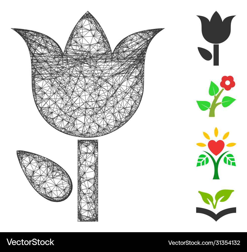 Tulip web mesh Tulip web mesh vector image