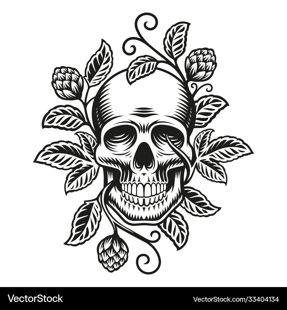 Beer Skull with Hop Branches Vector Image