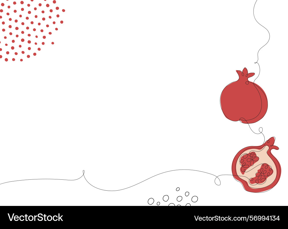 Pomegranate continuous line background one single vector image