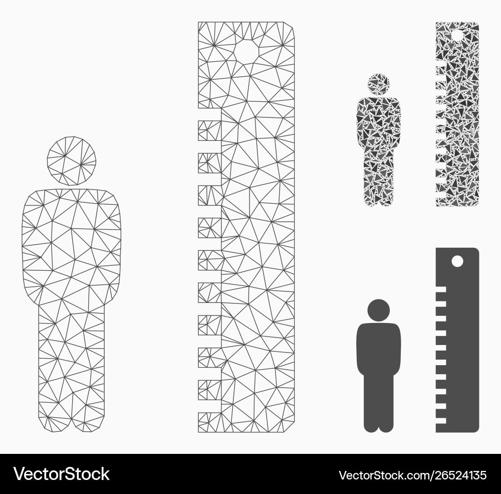Man height mesh carcass model and triangle Man height mesh carcass model and triangle Vector Image