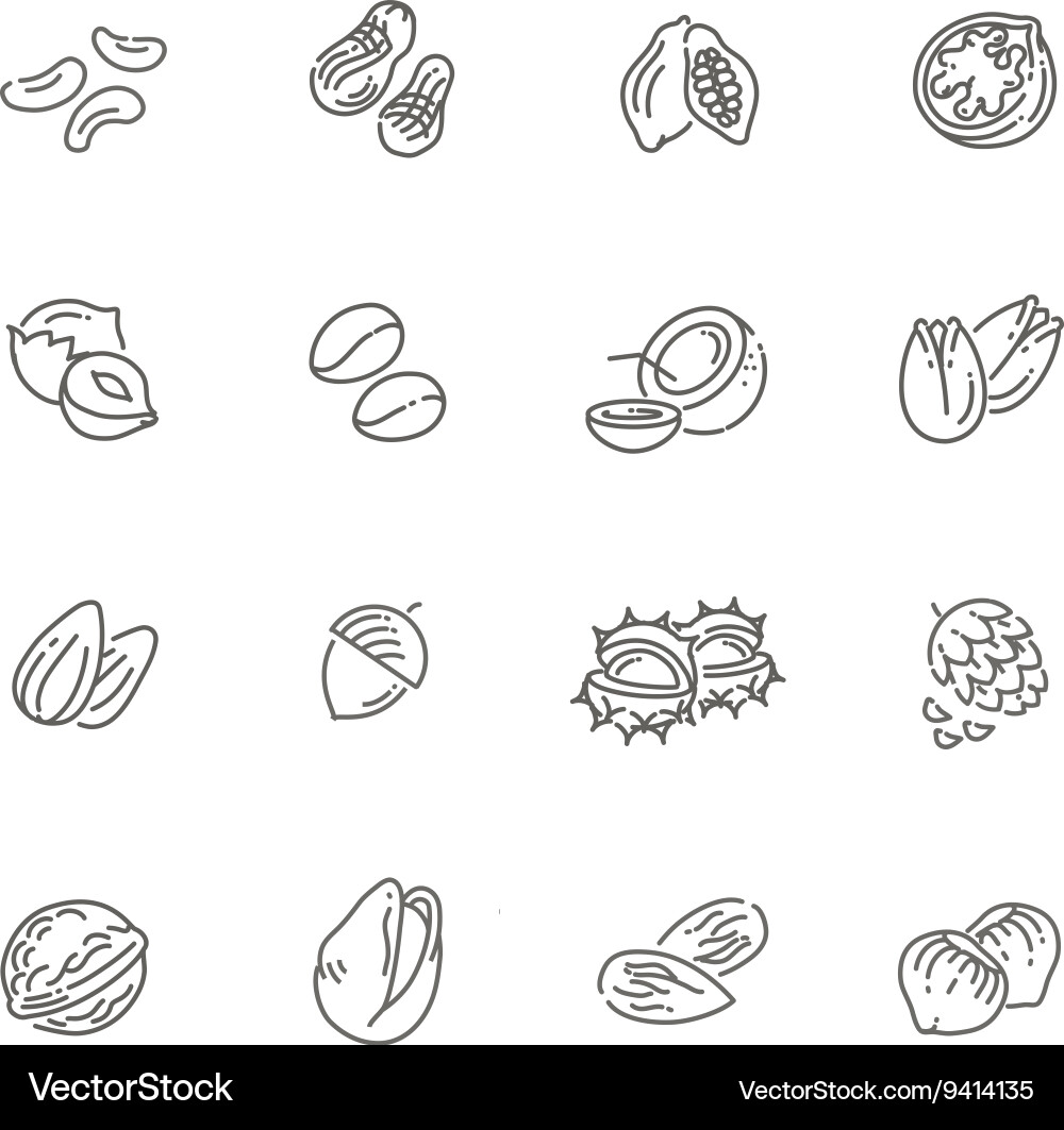 Web icons collection - nuts beans and seed Vector Image